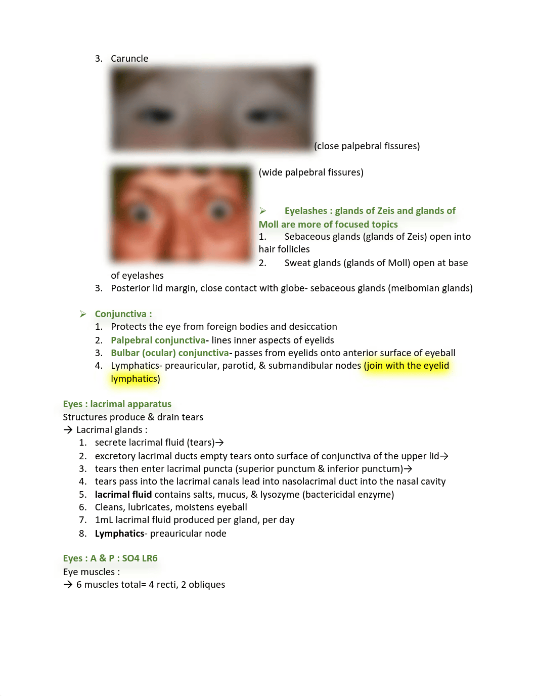 Eyes study guide.pdf_d4nenmg39hz_page2