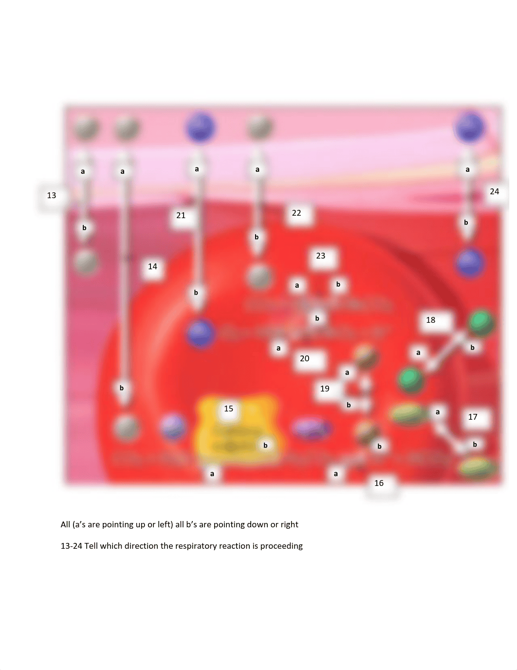 3rd editionTest3F2020-1.pdf_d4nndqtnjkx_page3