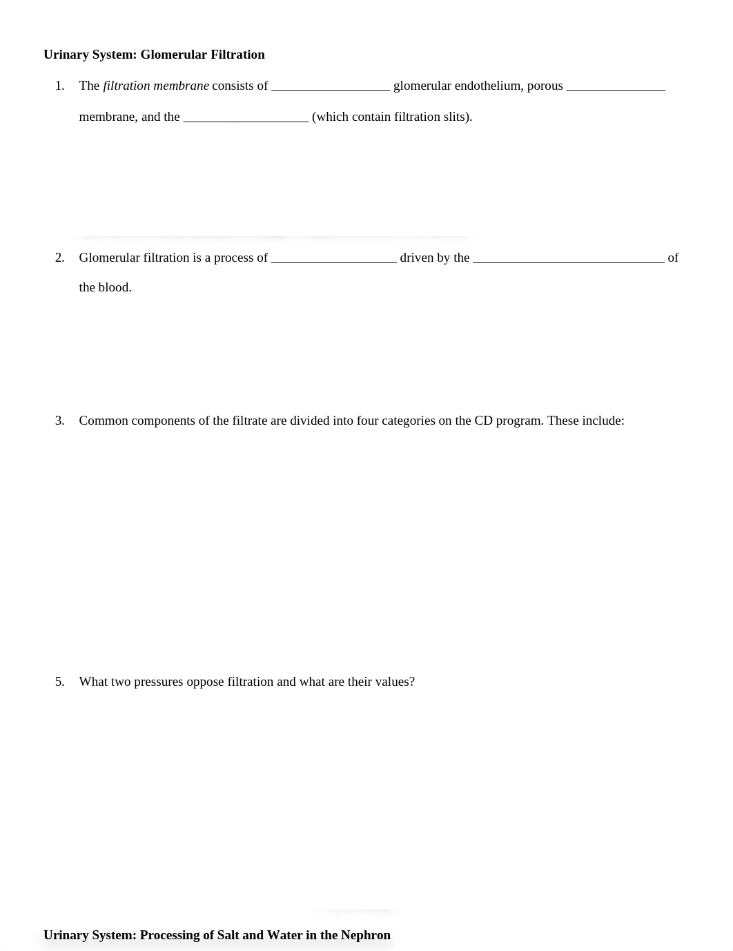 Urinary System_Worksheet.doc_d4nnm0qdisj_page1