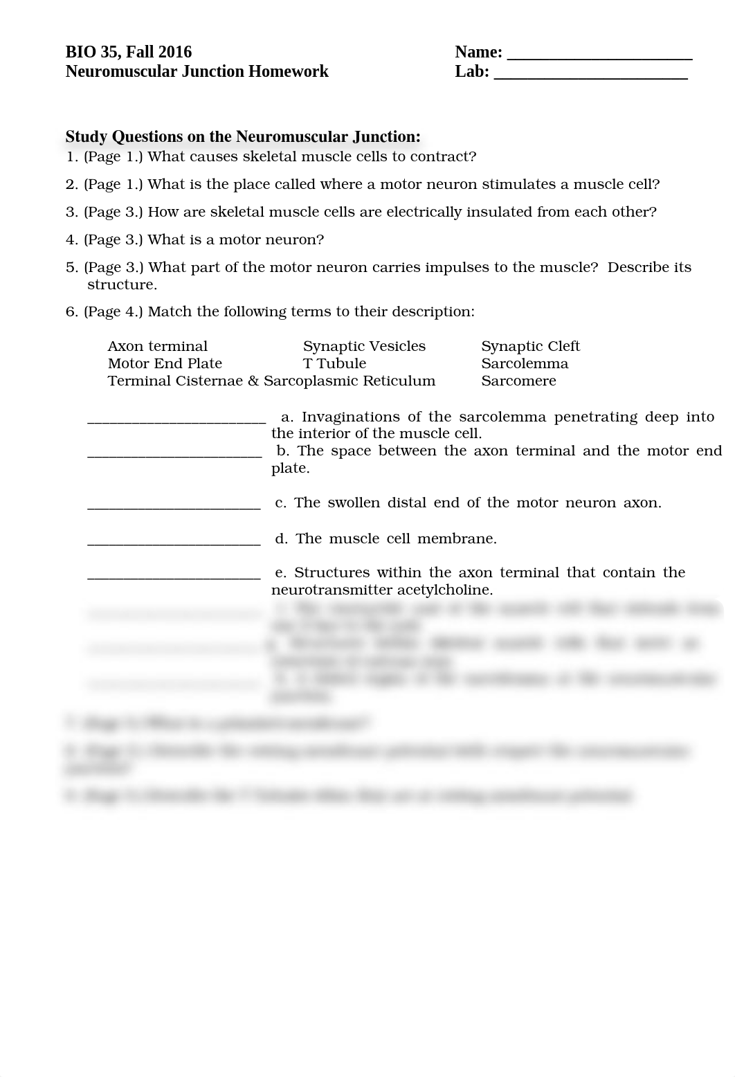 Neuromuscular Junction Homework_d4noppytgbt_page1