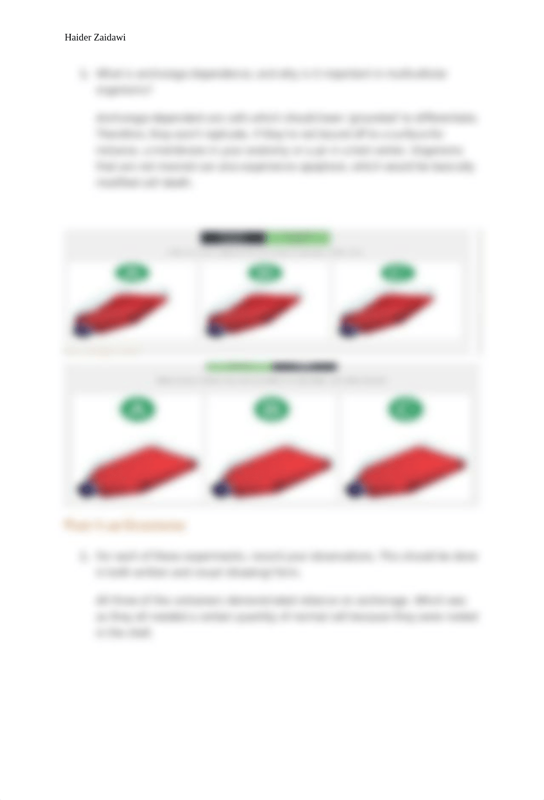 Regulation of the Cell Cycle interactive labe model 4.docx_d4nq0pkg9t4_page2