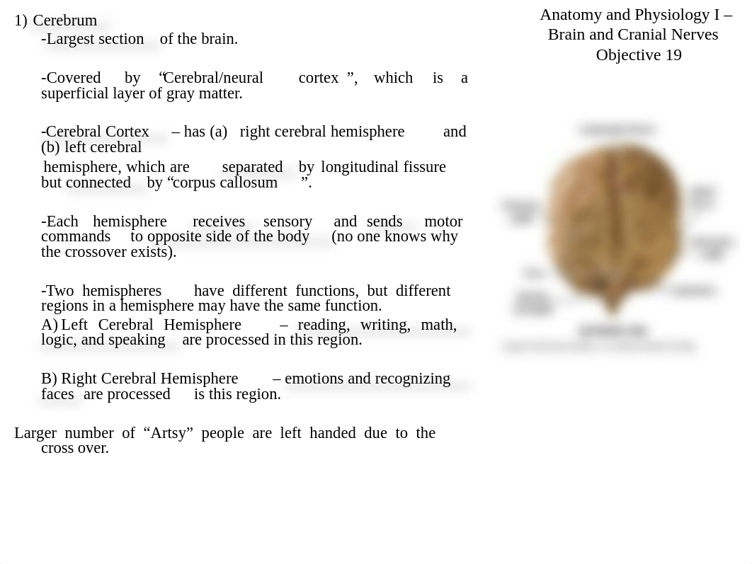 Anatomy and Physiology I Brain and Cranial Nerves fall 2017 (1).ppt_d4nq91muiu9_page4