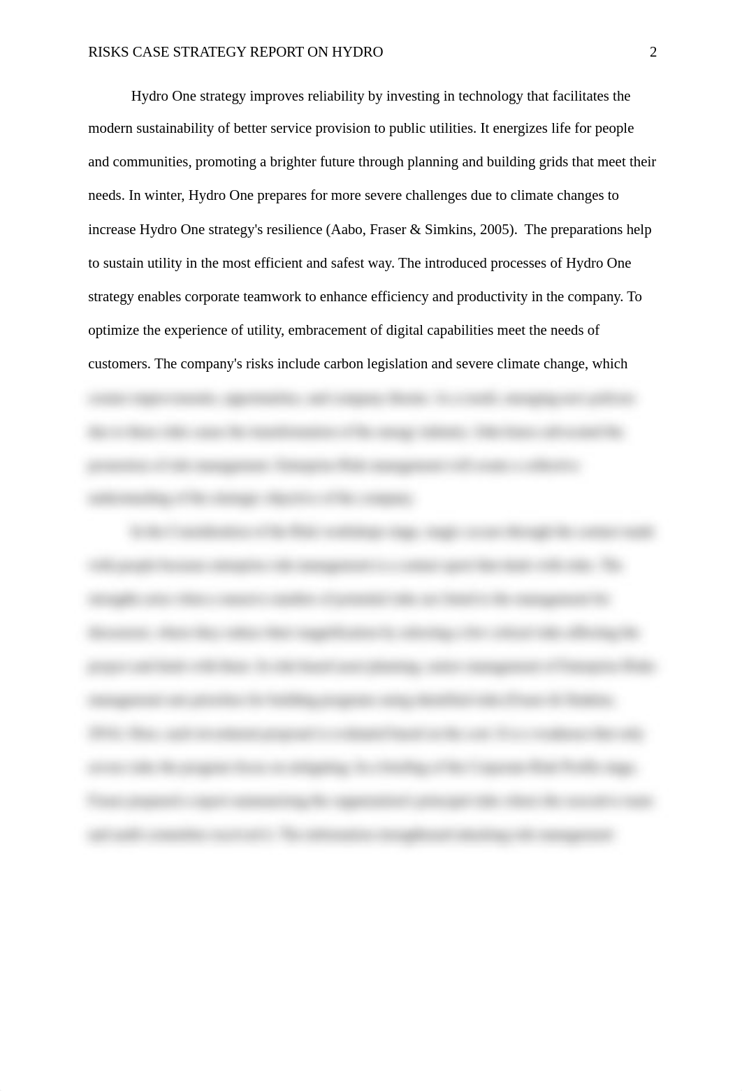 Risks Case STRATEGY Report on Hydro.edited.docx_d4nseidj7du_page2