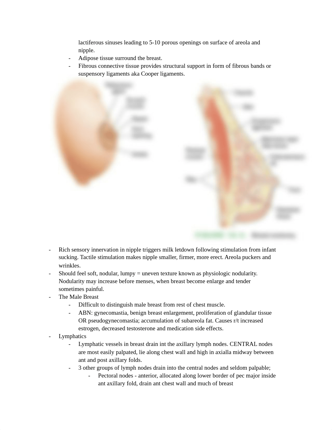 Exam #2-2.docx_d4nt8agayl1_page2