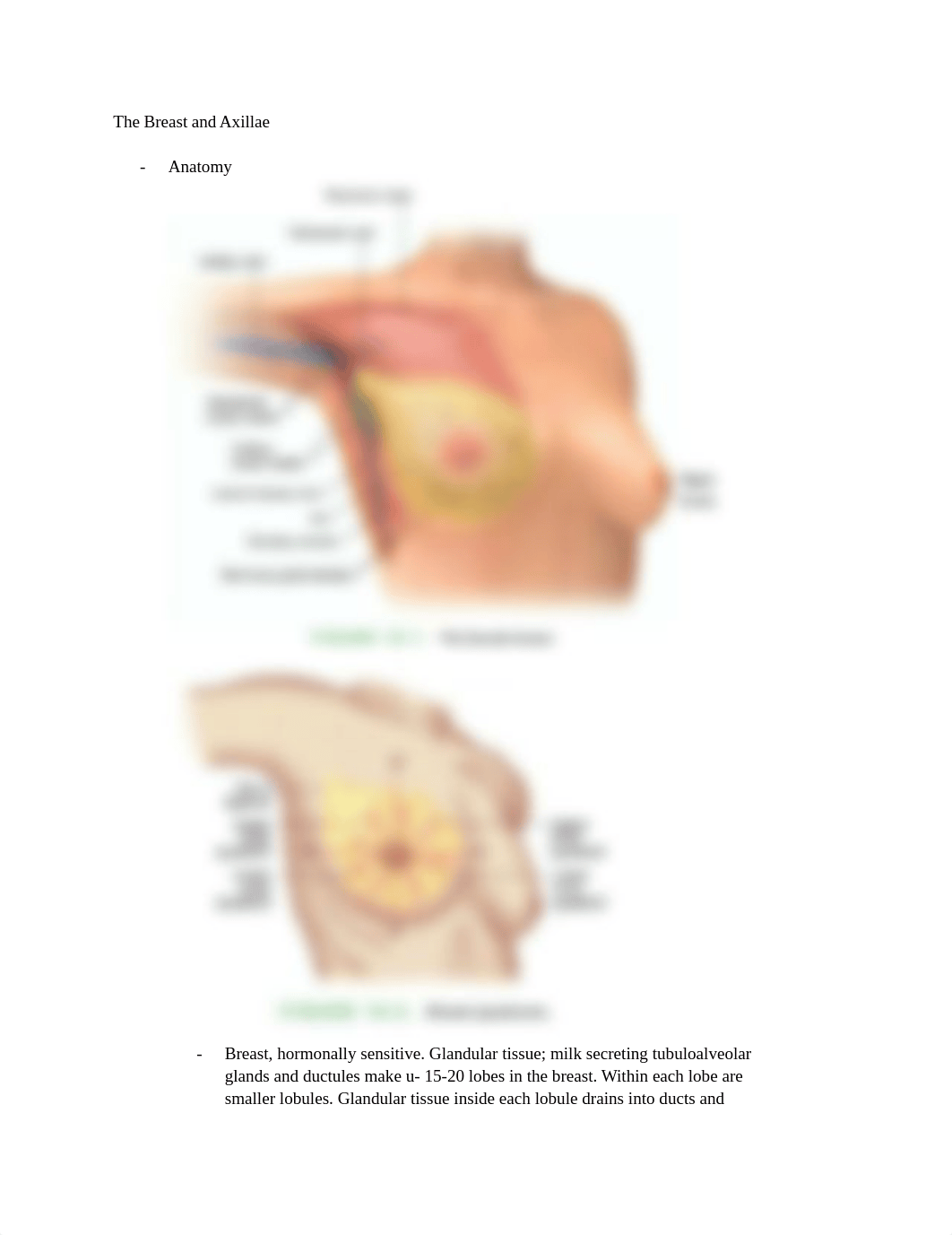 Exam #2-2.docx_d4nt8agayl1_page1