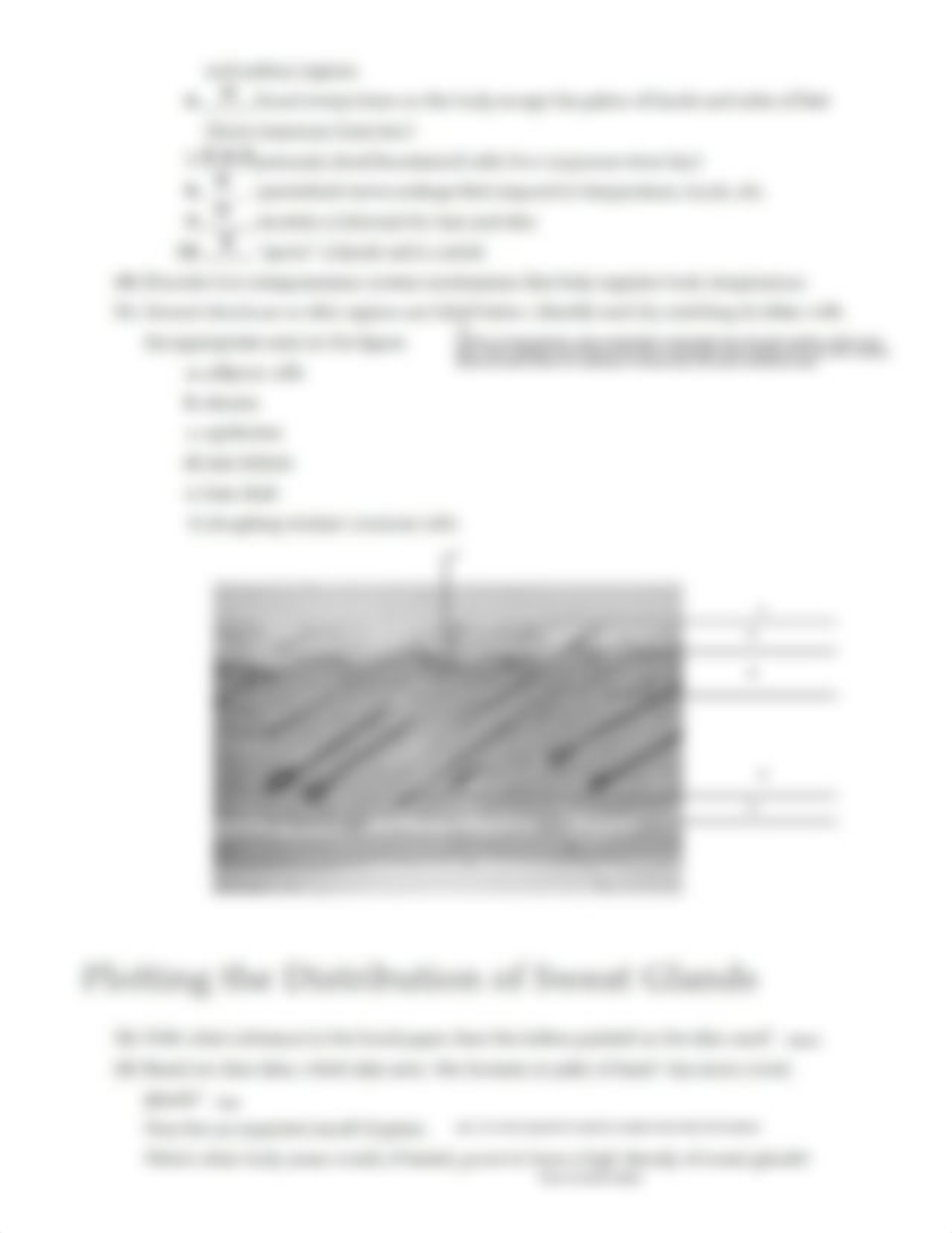 Ex07 Review sheet - The Integumentary System (1).pdf_d4nvg0a61lb_page5