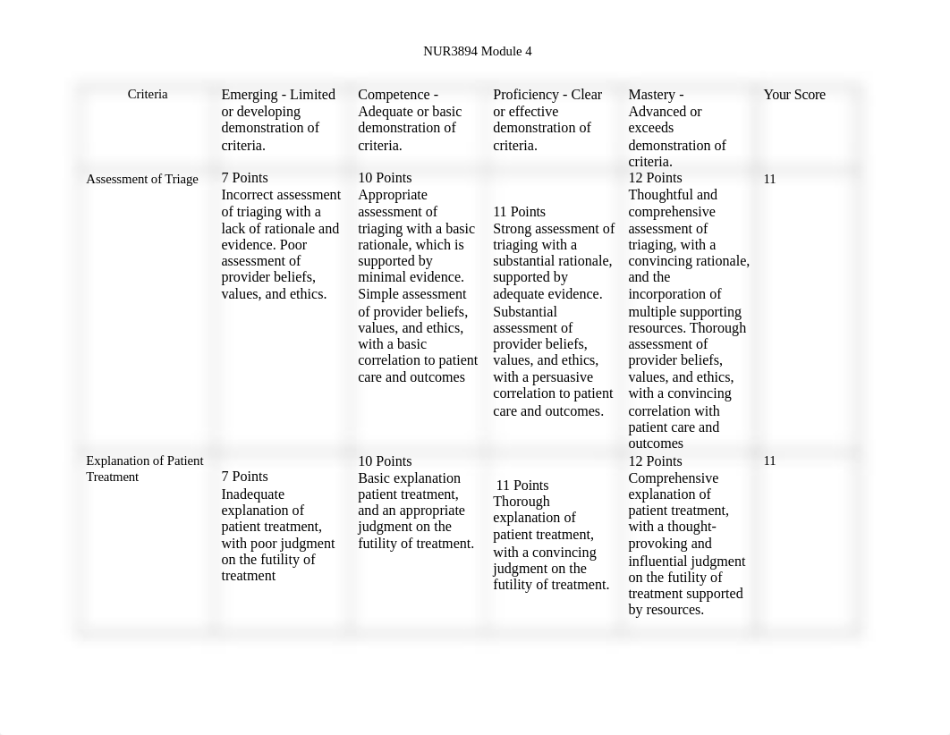 NUR3894 module 4 grading rubric_2_47.docx_d4nvxy1ehyt_page1