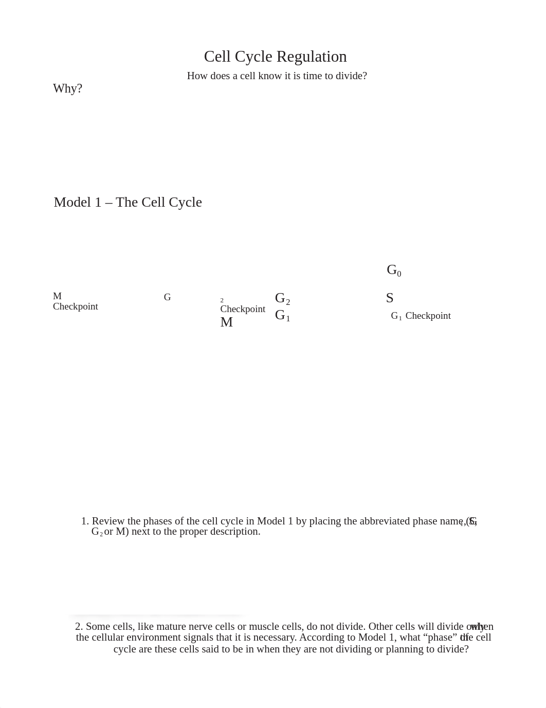 Regulation_of_Cell_Cycle_d4nwuwivpca_page1