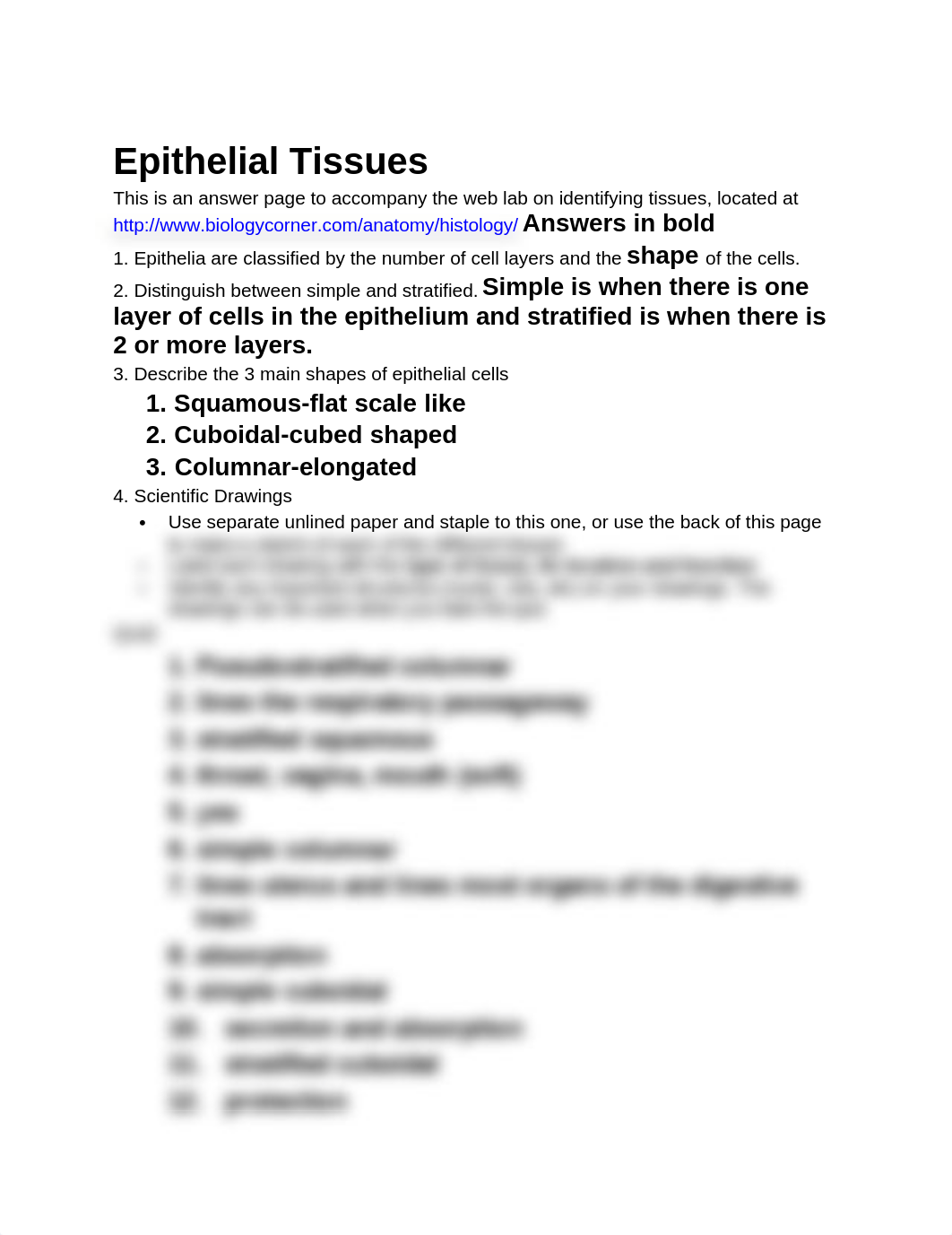 A&P 1 Epithelial Tissues Lab Worksheet.docx_d4o7qzyvsiq_page1