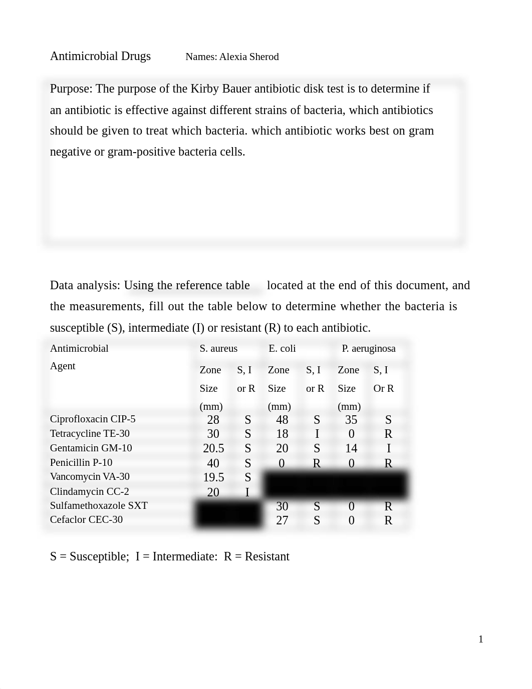 Kirkby Bauer analysis.doc_d4oe80ie31d_page1