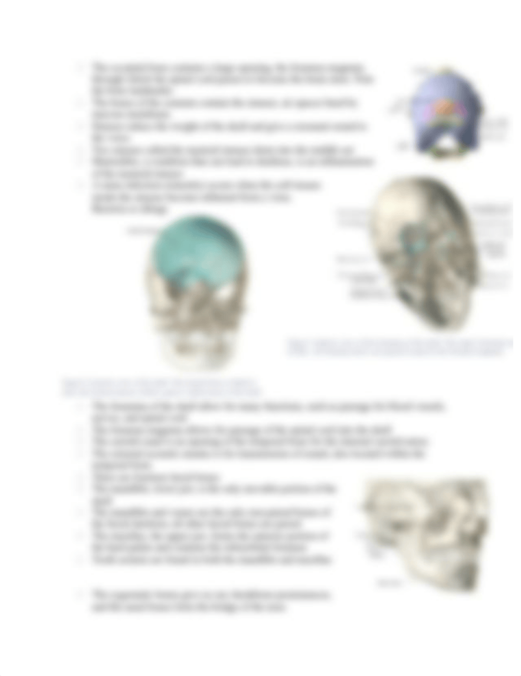 4 - The Skeletal System.docx_d4ok4jdadiv_page4