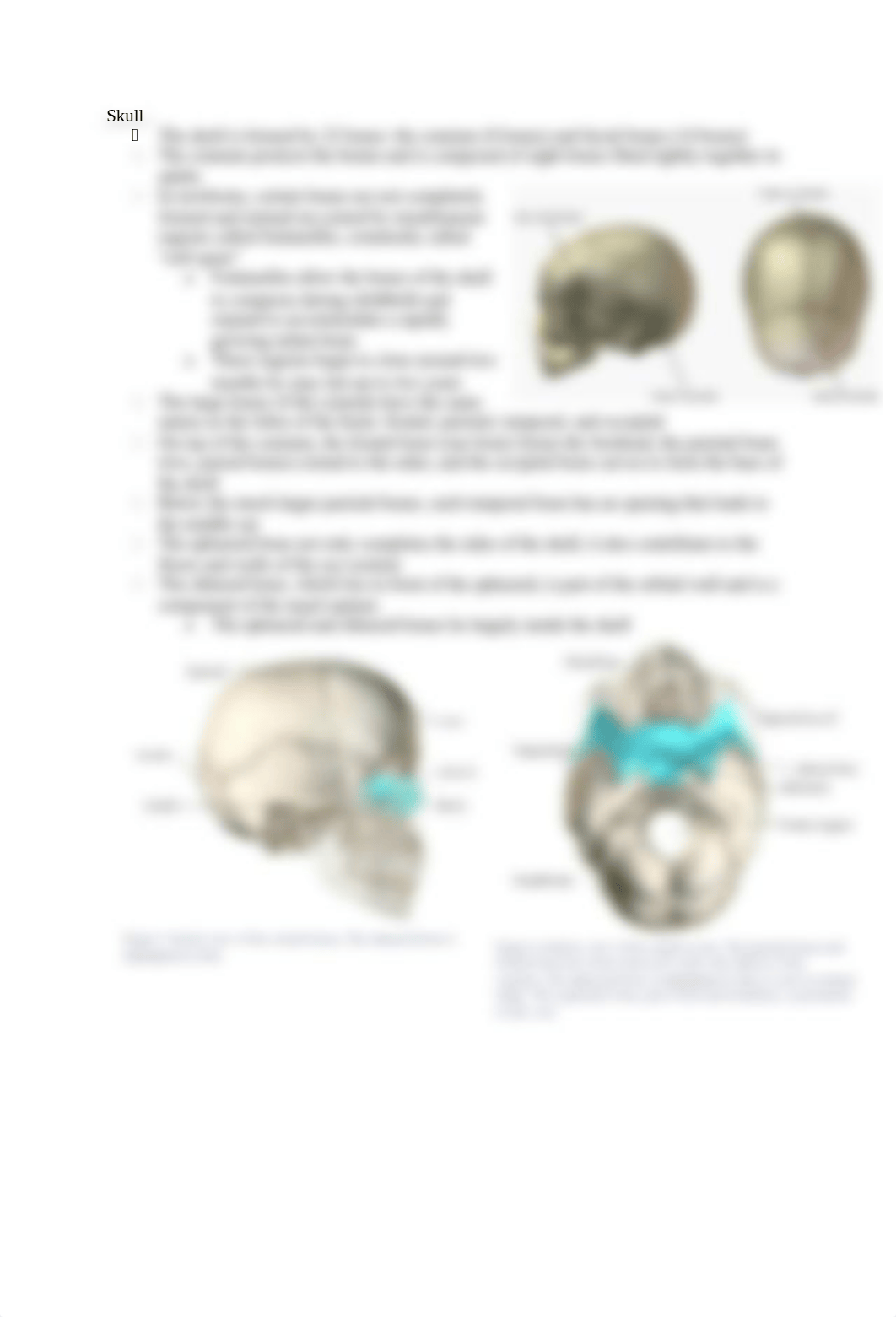 4 - The Skeletal System.docx_d4ok4jdadiv_page3