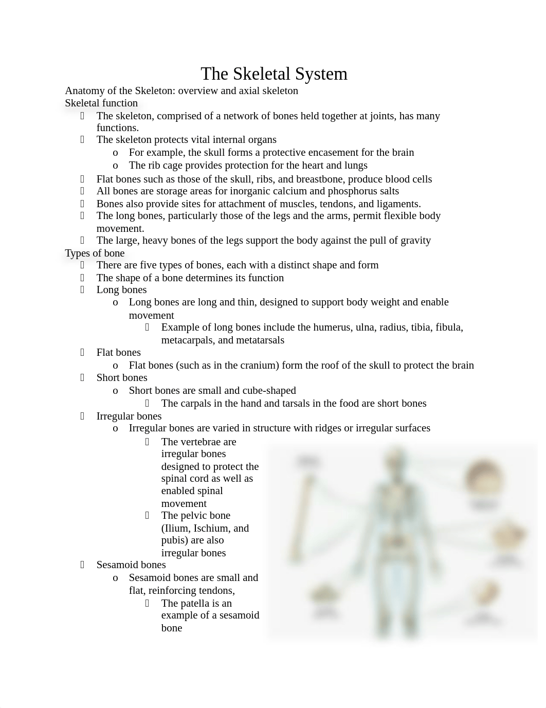 4 - The Skeletal System.docx_d4ok4jdadiv_page1