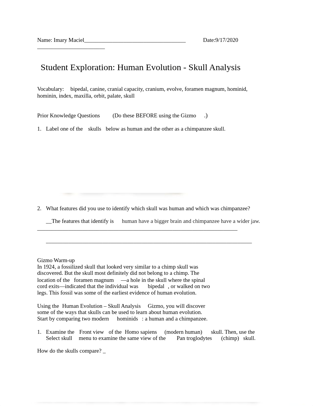 HumanEvolutionSE (1) (1).docx_d4omni9b0sz_page1