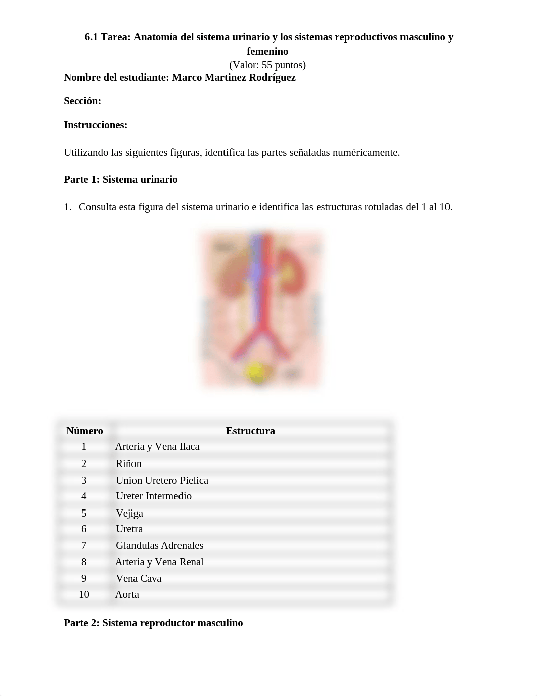 tarea 6.1.docx_d4ov8teda7f_page1