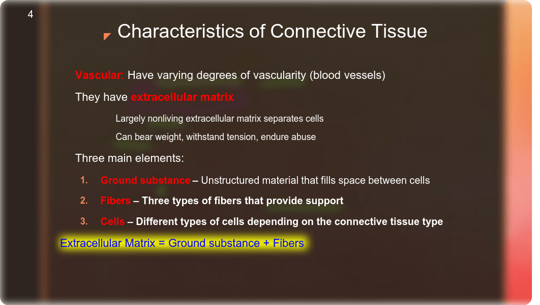 Lab_3_Connective_Tissues.pdf_d4p542za1t0_page5