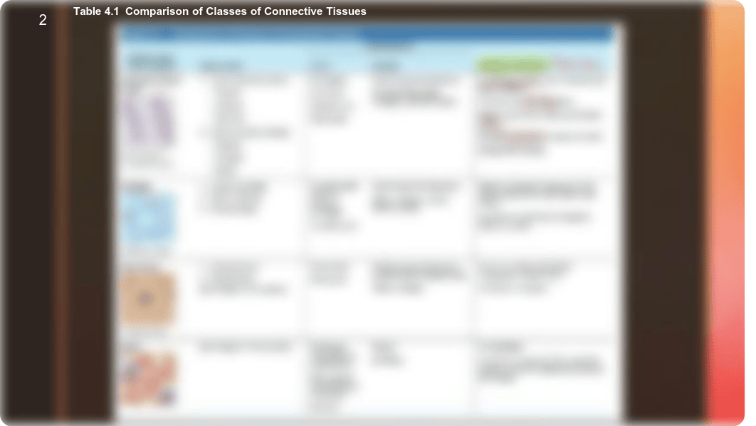 Lab_3_Connective_Tissues.pdf_d4p542za1t0_page3