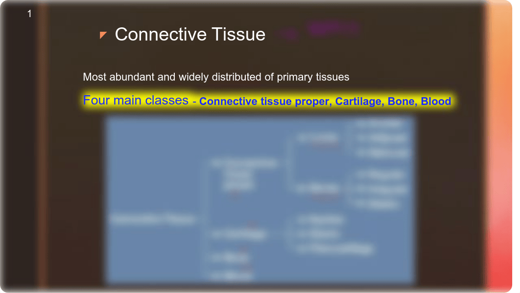 Lab_3_Connective_Tissues.pdf_d4p542za1t0_page2