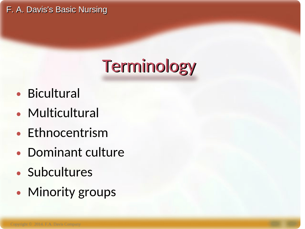 Chapter 15 Culture and Ethnicity.ppt_d4pat8tlz62_page4