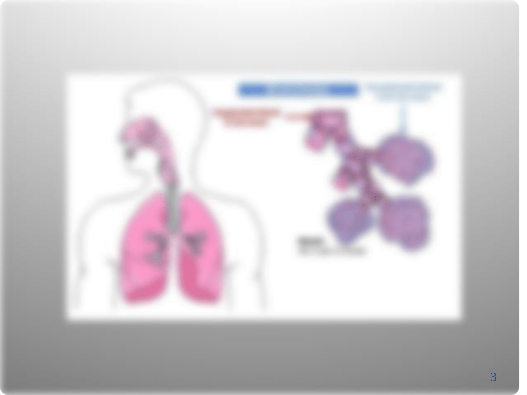 COPD 2020.ppt_d4pbtg99nh8_page3