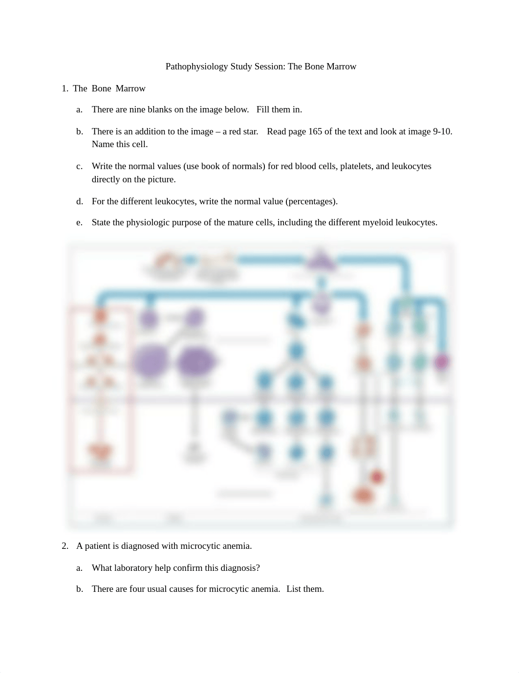 510 - Wk 2 Bone Marrow study questions.docx_d4pej157co6_page1