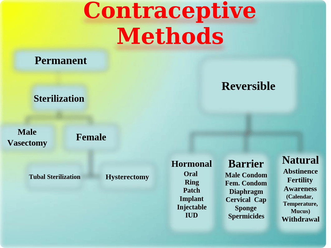 5aPowerpoint_Chapter_6_Contraception__Lunde_okxx.ppt_d4ppnonsxz3_page4