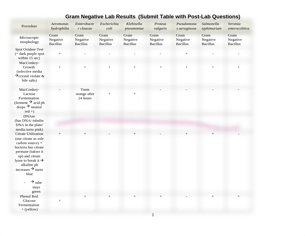 RESULTS TABLE and Post-Lab questions for Gram Negative Lab.docx_d4pt4fwo27g_page1