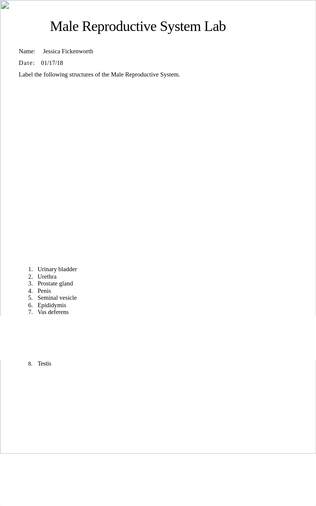 Lab_Male Reproductive System JF.docx_d4pt5fx1m4q_page1