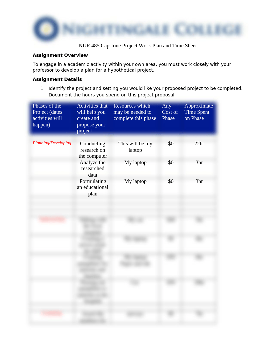 BSN485 - Work Plan & Time Sheet.docx_d4q69r499e1_page1