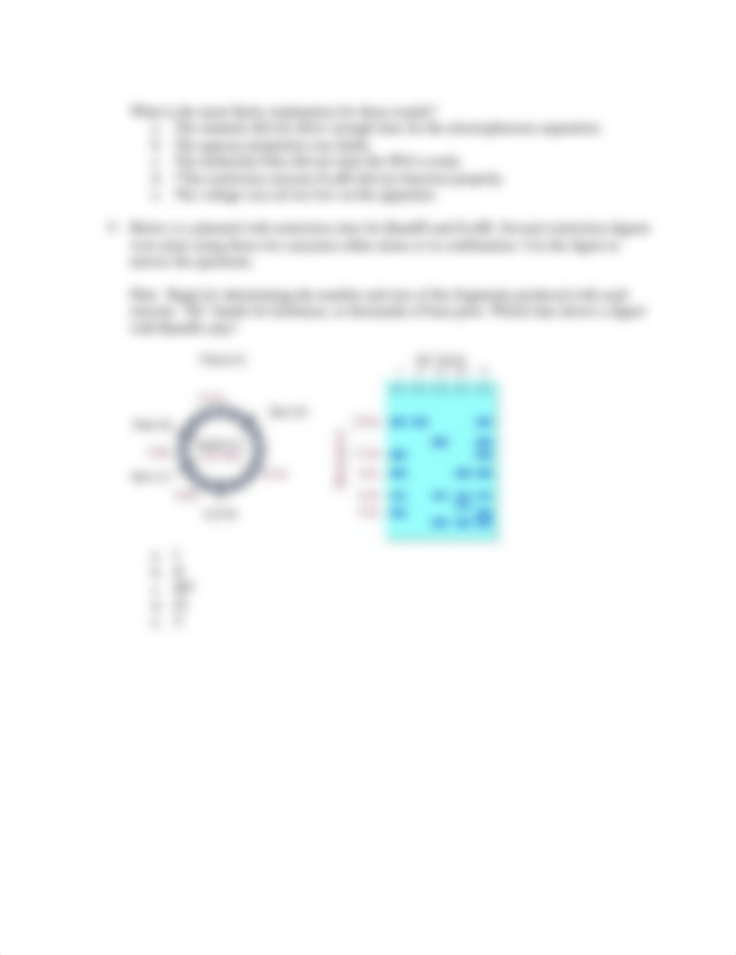 Gel Electrophoresis .docx_d4q6v5eak56_page2