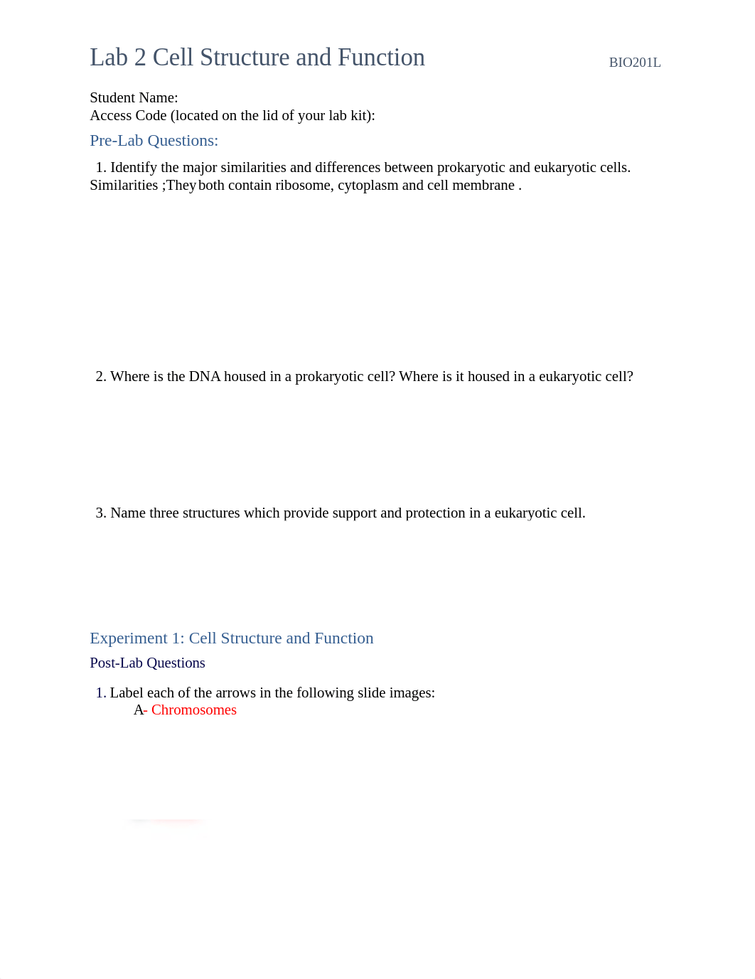 BIO201L+Lab+cell structure and functions.docx_d4q7xyhxzx3_page1