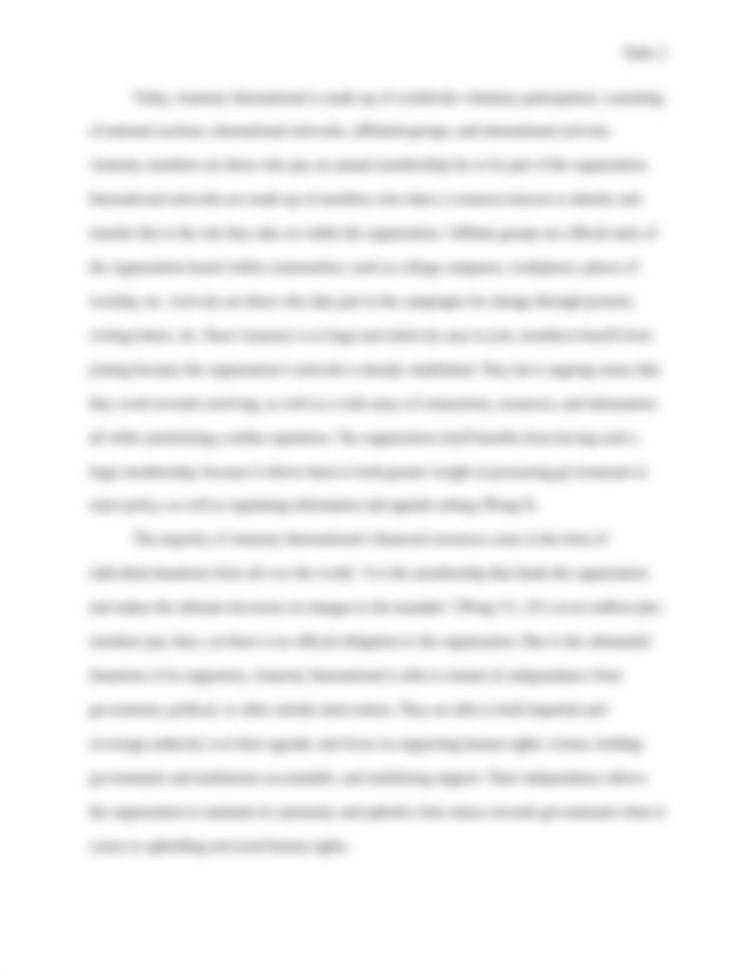 Amnesty ESSAY.docx_d4q9dj5i3a8_page3