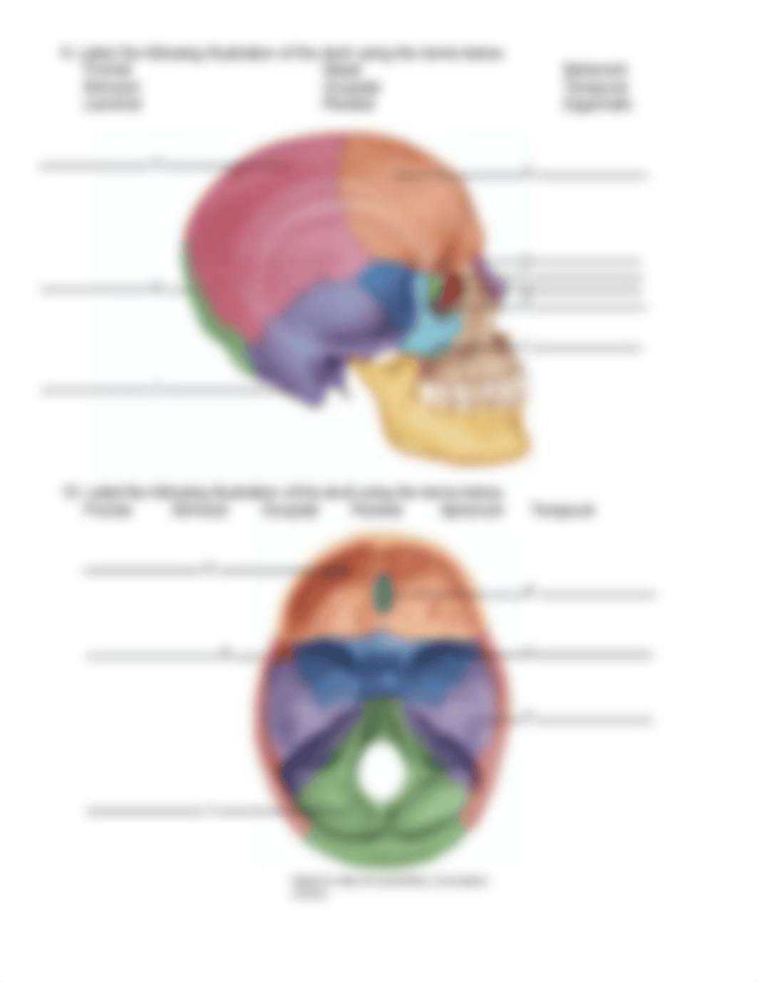 B205L Prelabs F17.pdf_d4qcxz3earz_page4