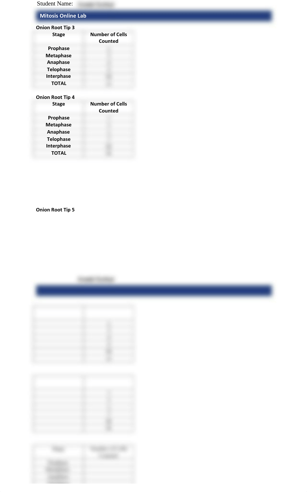 Mitosis Lab.pdf_d4qelry3wd7_page2