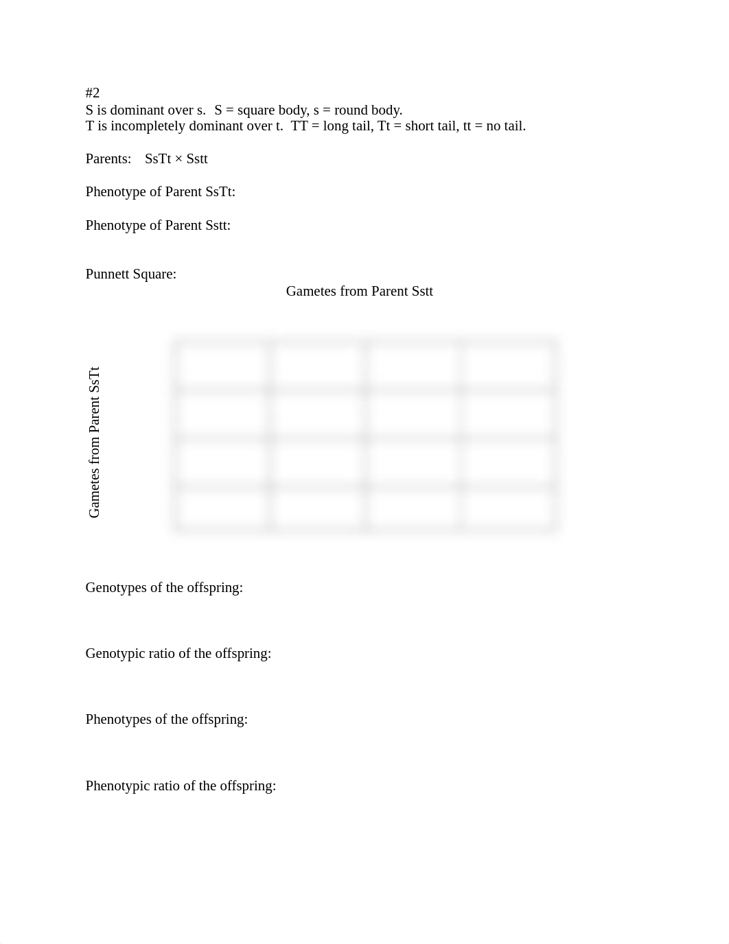 Mendelian Genetics Practice Problems.pdf_d4qfkgj8n9c_page2