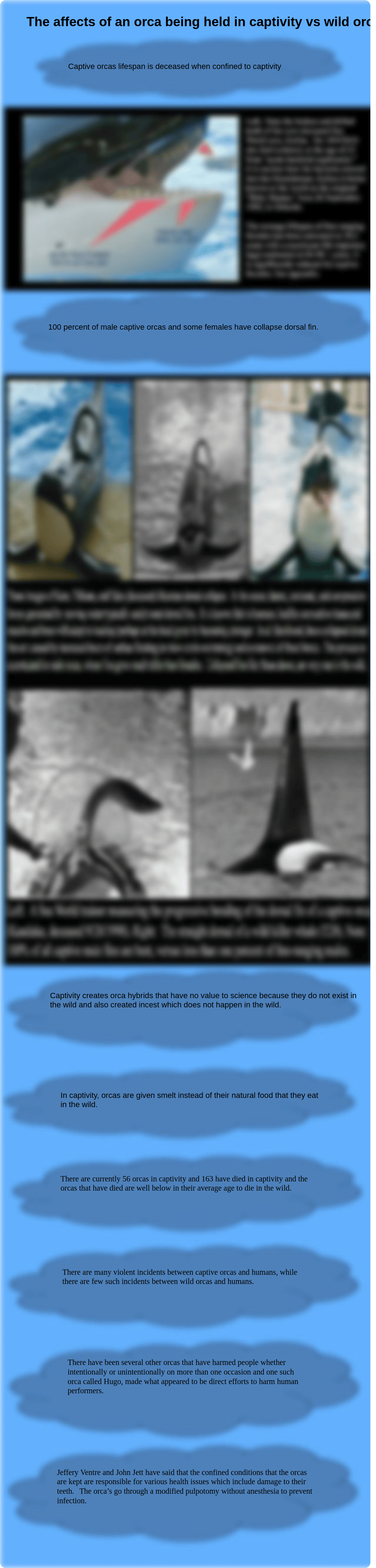 Henson_M_Orca's in Captivity. The Big Question_d4qnh2cu3nb_page2