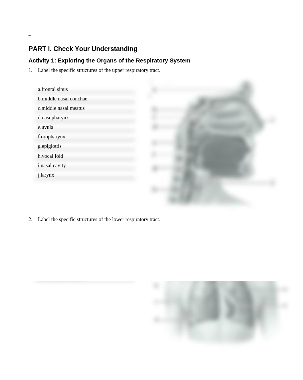 Unit 12 laboratory exercise 26_d4qwvezlwpj_page1