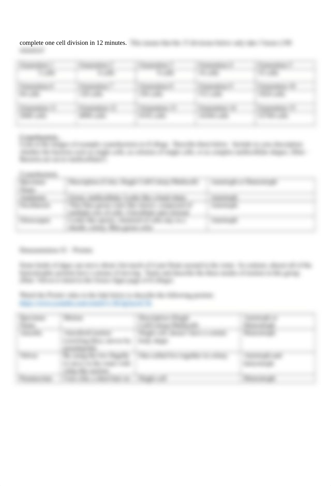 Bacteria and Protist Worksheet .docx_d4r0lhrces2_page2