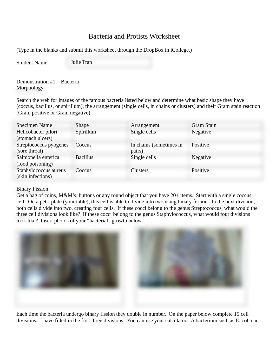 Bacteria and Protist Worksheet .docx_d4r0lhrces2_page1