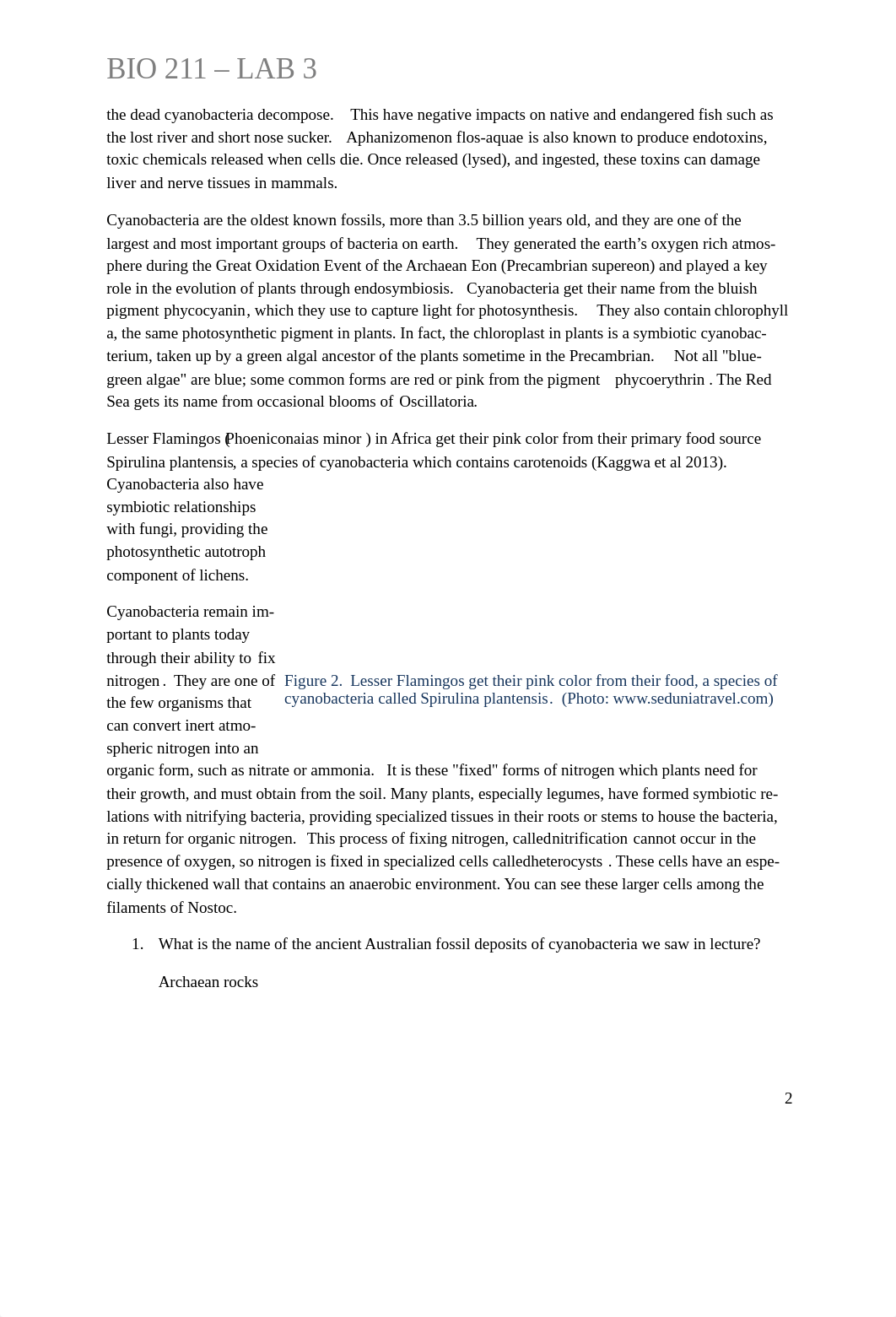 Lab 3_Handout_Bacteria & Protists_2015.docx_d4r0pdsuwdy_page2