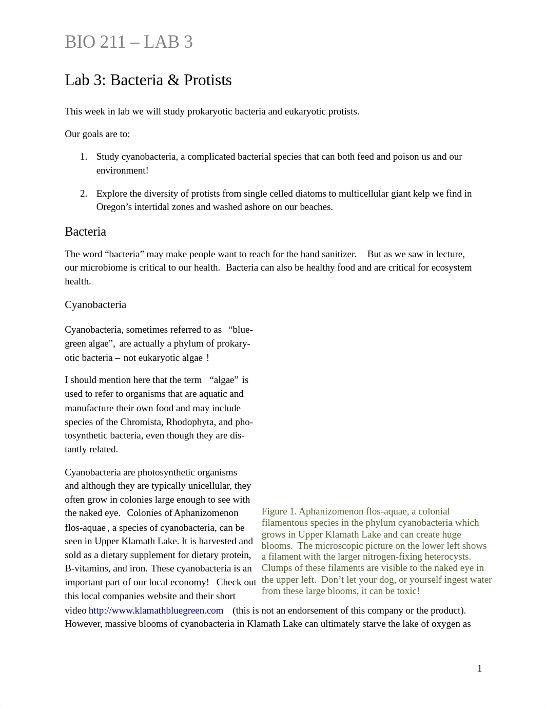 Lab 3_Handout_Bacteria & Protists_2015.docx_d4r0pdsuwdy_page1