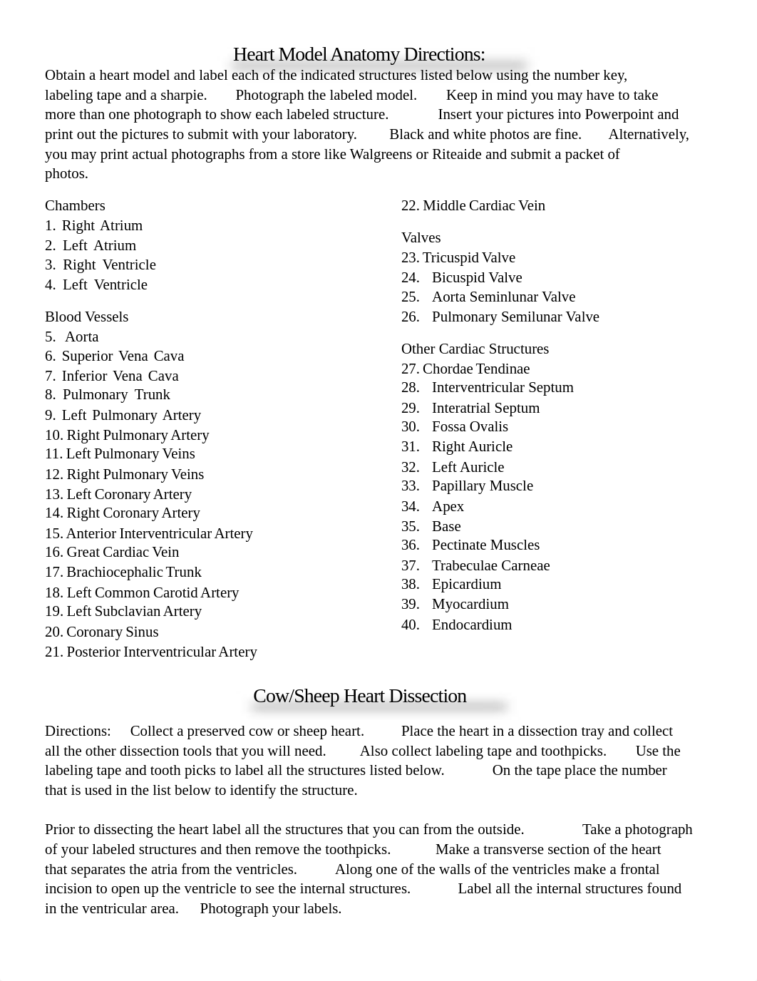 Laboratory5CardiovascularAnatomy.pdf_d4r3xcatk86_page3