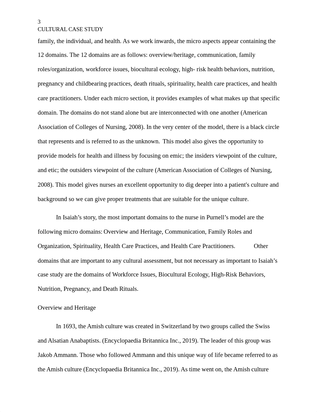 Cultural Case Study .docx_d4r86z1zisi_page3