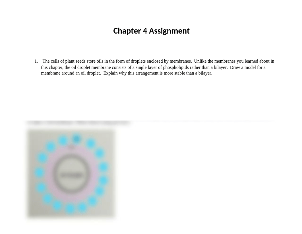 Stockwell - Chapter 4 Assignment(1)_d4ra59yeet2_page1