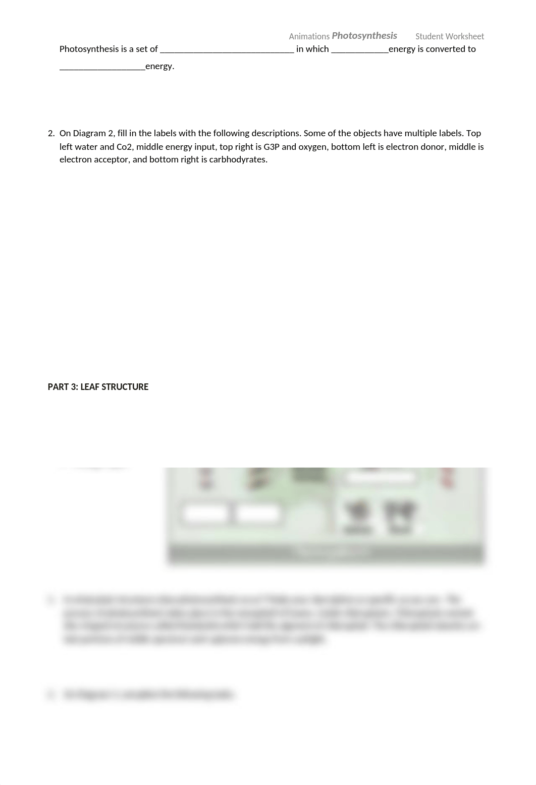 Photosynthesis-StudentWS-animation diagram worksheet 2.docx_d4rnnao18st_page2