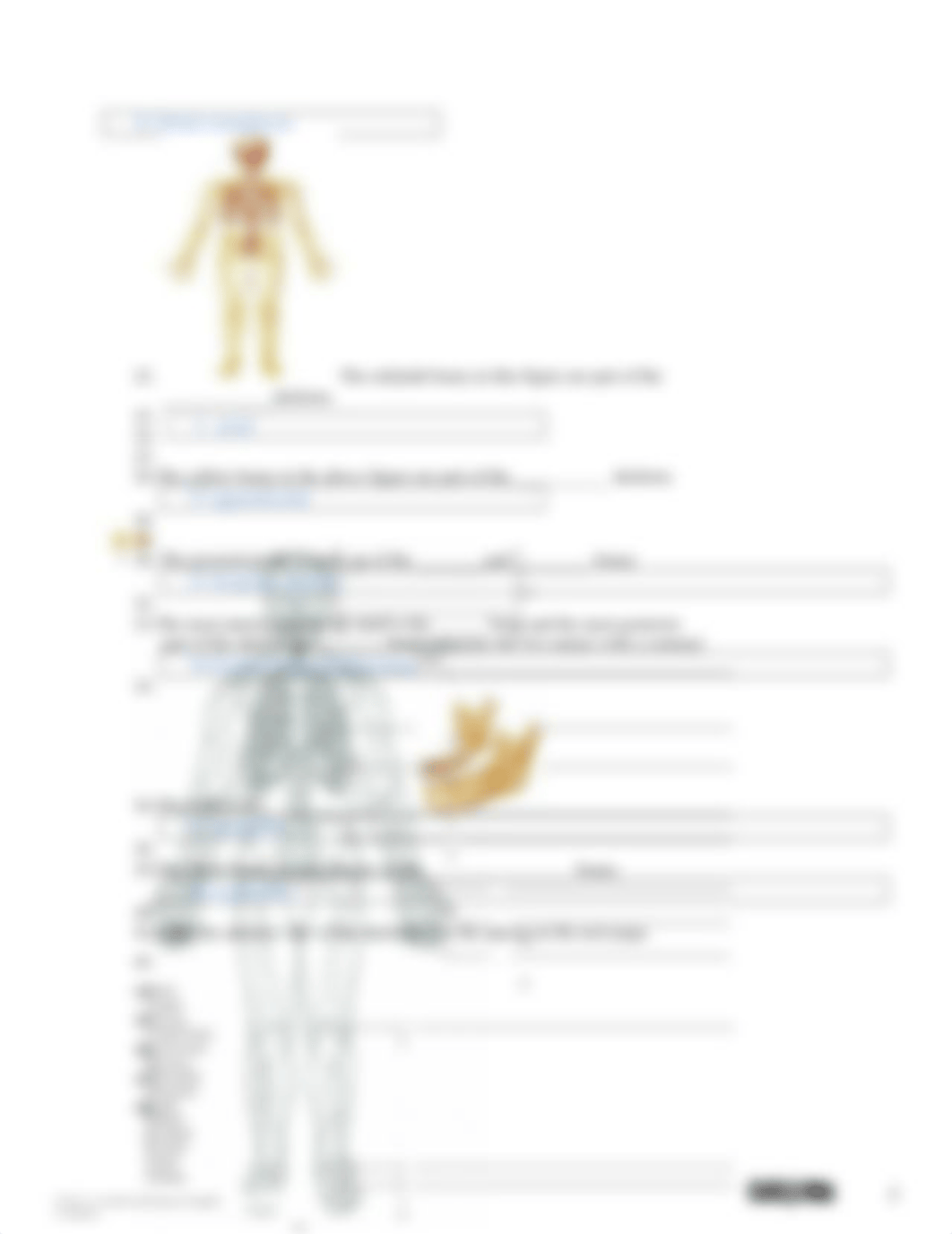 Skeletal System Lab Report.docx_d4rqpj9msqc_page3