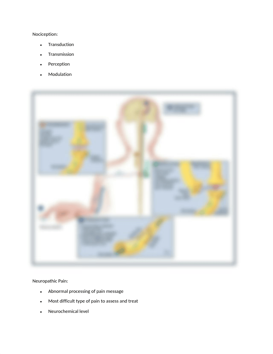 Ch.10 Pain Assessment (5th vital Sign) Notetaking_d4rvhh43y74_page1