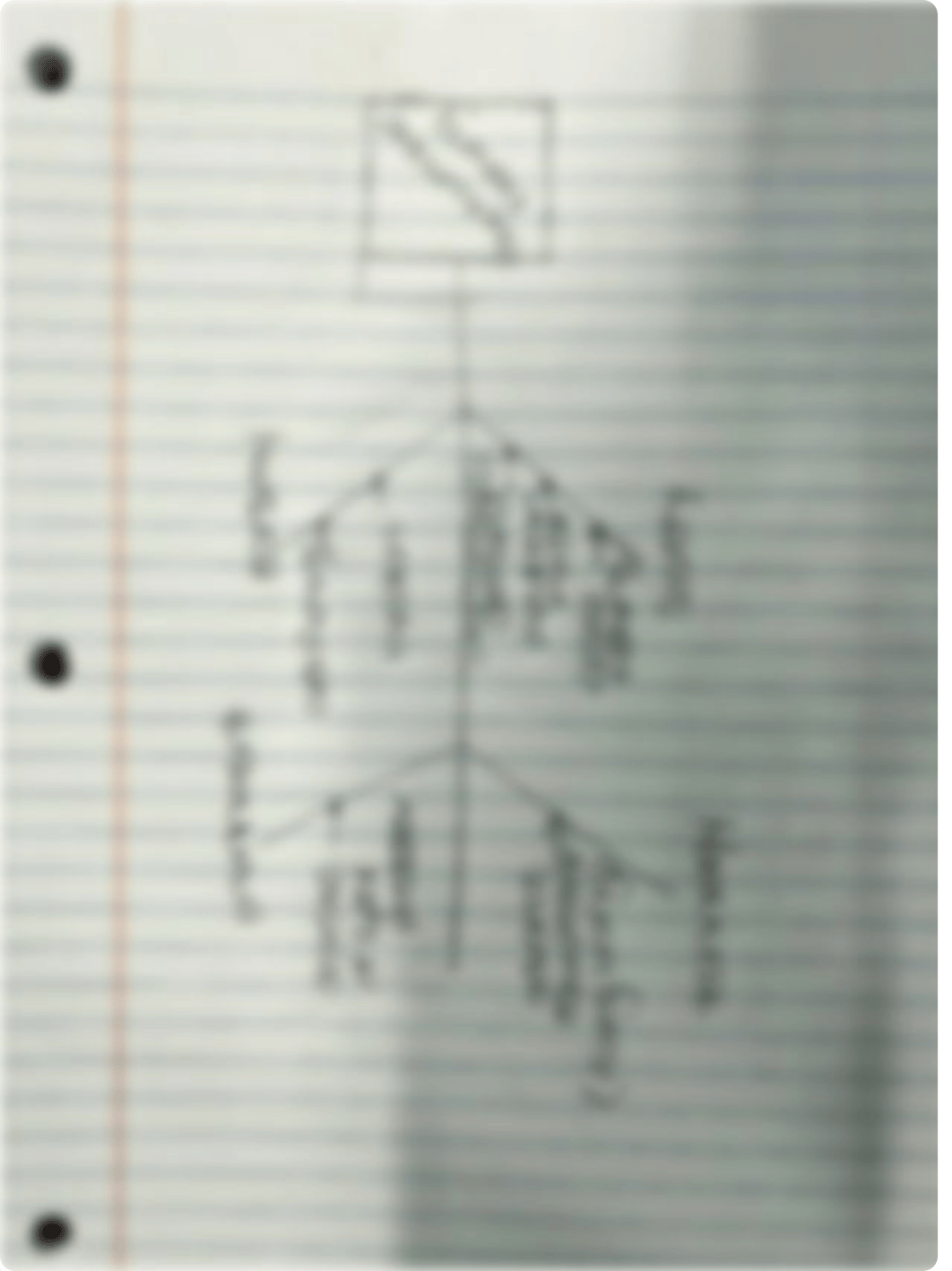 Sustainable Fishing Fishbone Diagram.pdf_d4rwdsztizm_page1