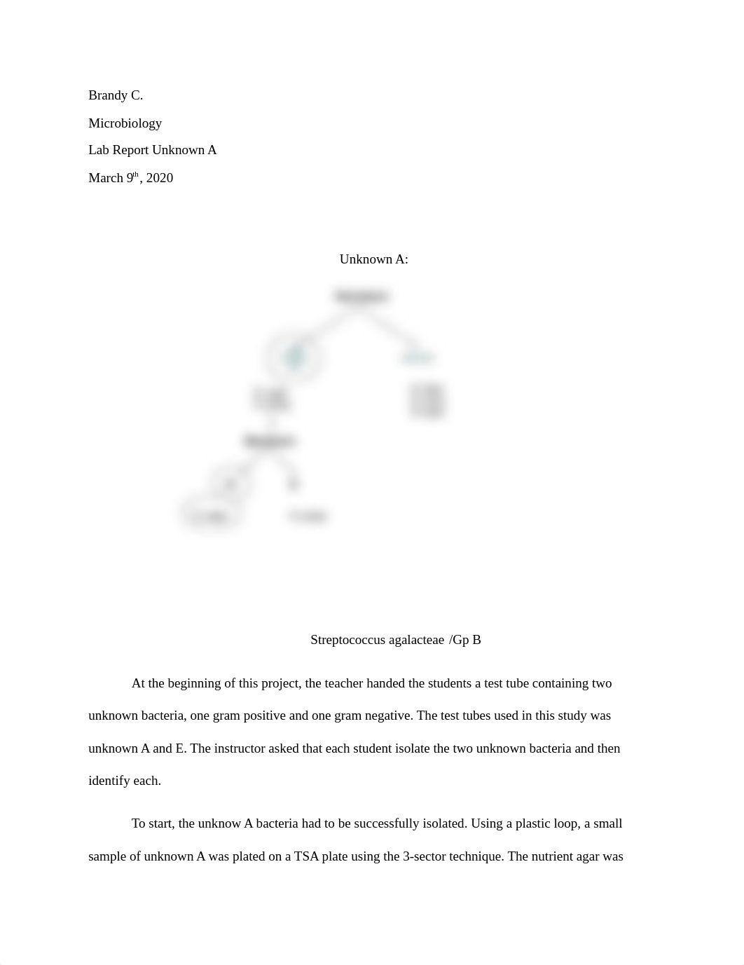 Lab Report Unknown A.docx_d4s3wdhb6ub_page1