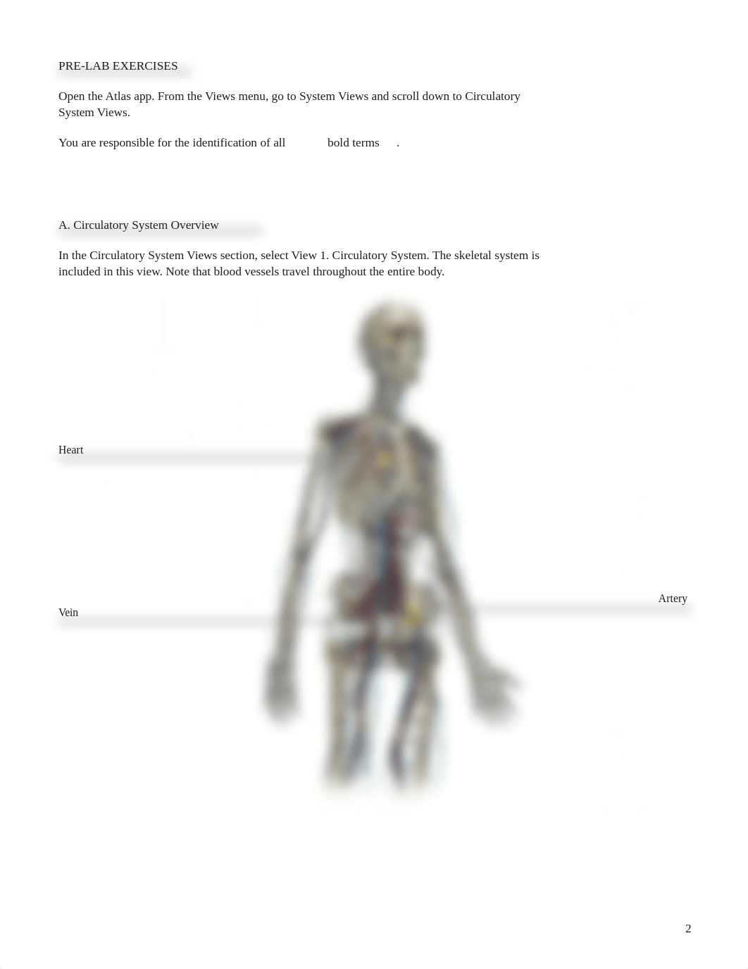 lab manual_blood_and_blood_vessels_atlas.pdf_d4sk7dtwih4_page2